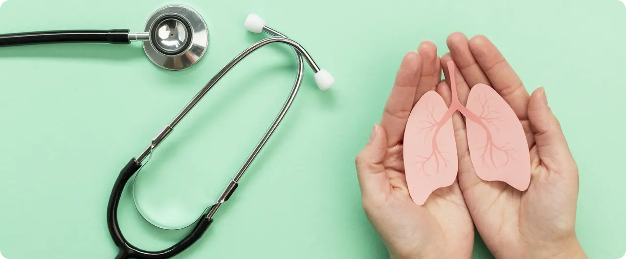 ¿Qué función tienen los riñones?